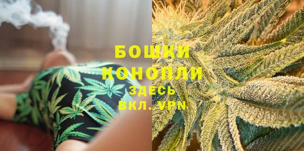 индика Бронницы