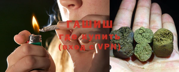 индика Бронницы