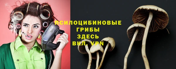 индика Бронницы