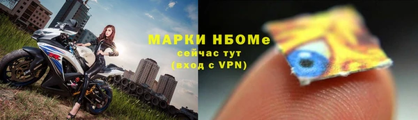 прущий лед Бородино