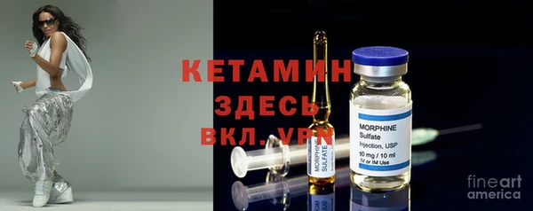 индика Бронницы