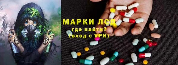 прущий лед Бородино