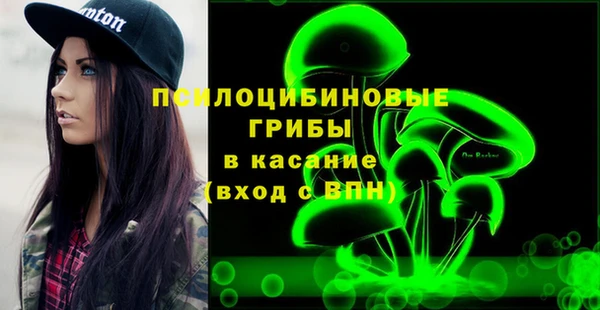 индика Бронницы