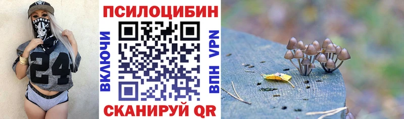 Галлюциногенные грибы Psilocybe  ссылка на мегу ССЫЛКА  Гусь-Хрустальный  купить наркотик 